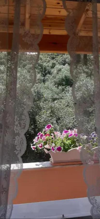 Armonia Apartments Corfu  Luaran gambar